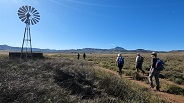 Table Mountain